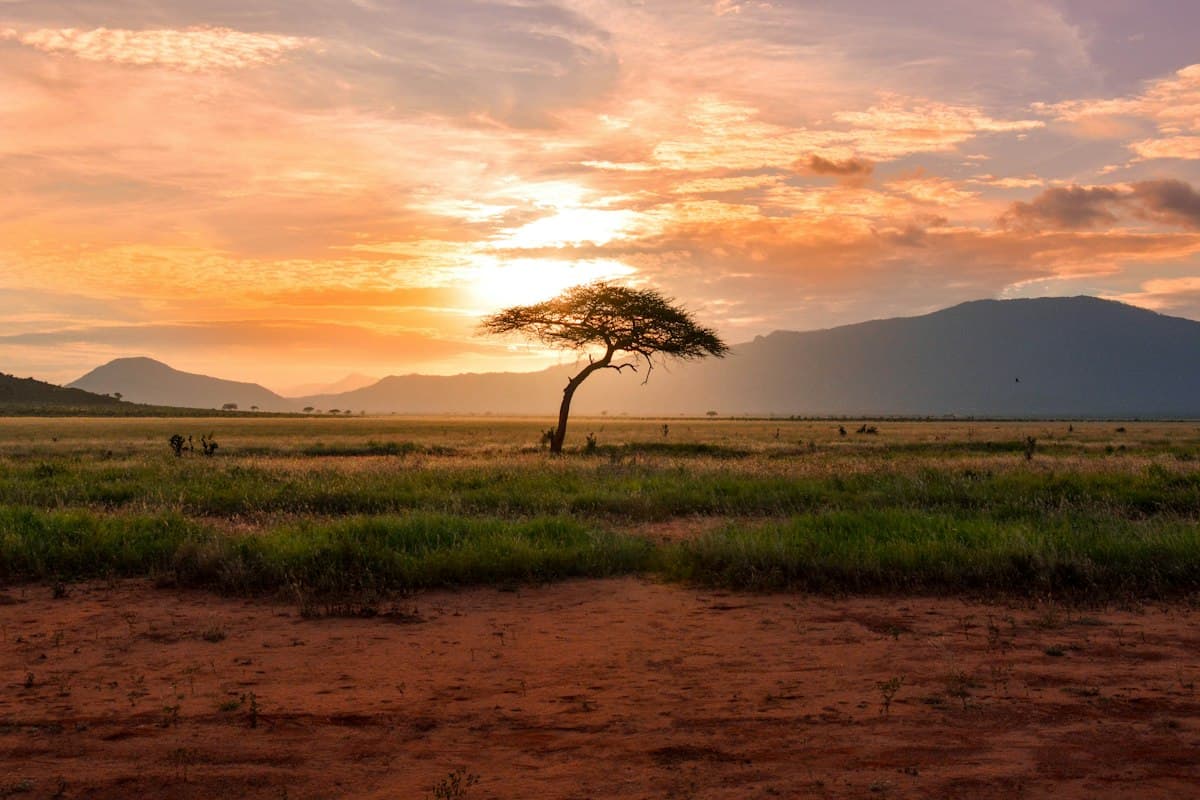 Kenyan countryside, atmospheric photo not a portrait of the named pastor